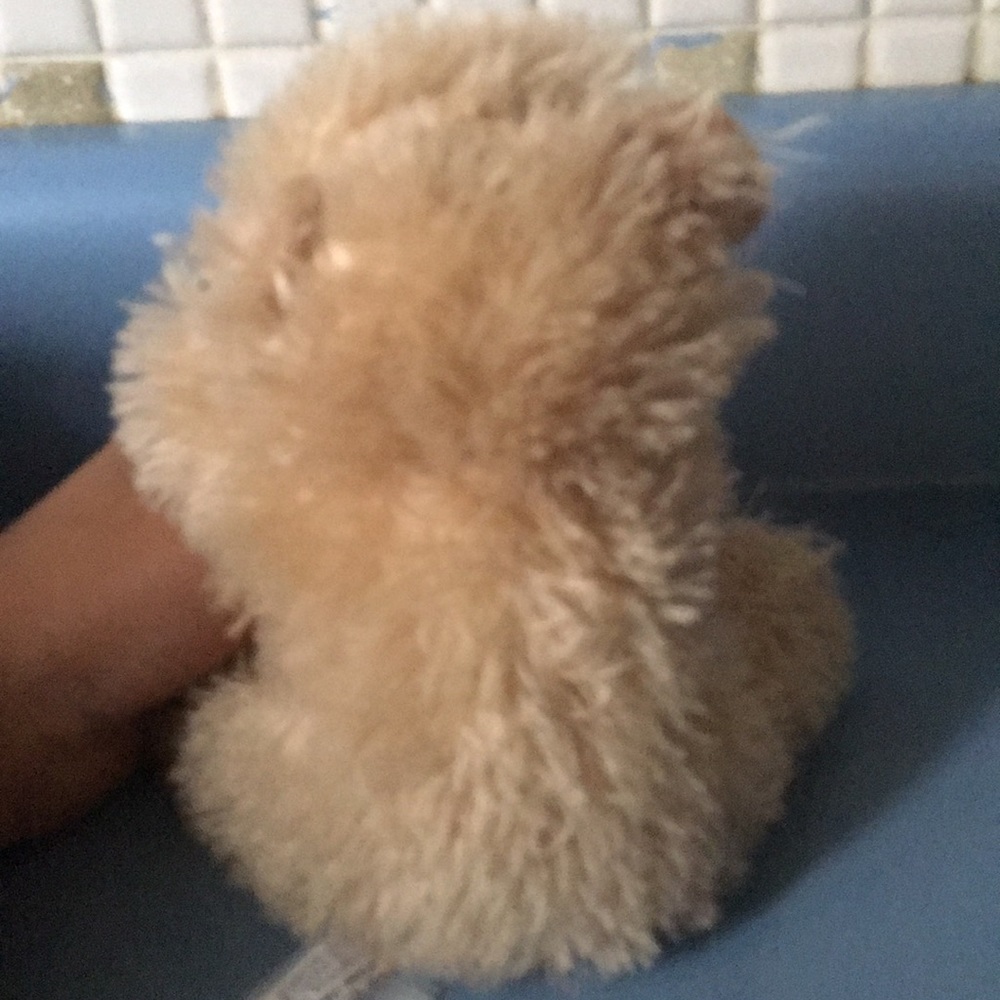 Teddy bear - Picture 3 of 4